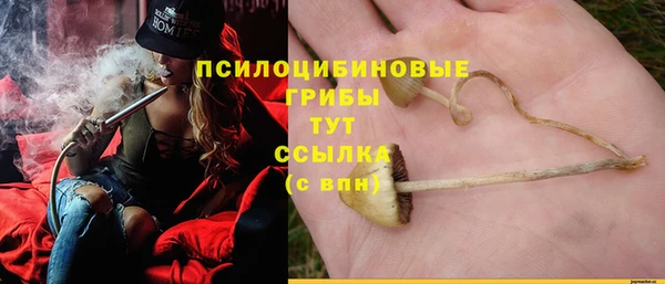 PSILOCYBIN Володарск