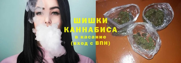 дживик Волоколамск