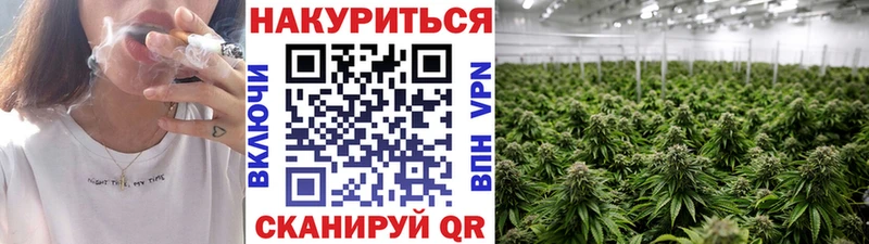 купить закладку  Новокузнецк  Марихуана THC 21% 